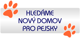 Hledáme domov...